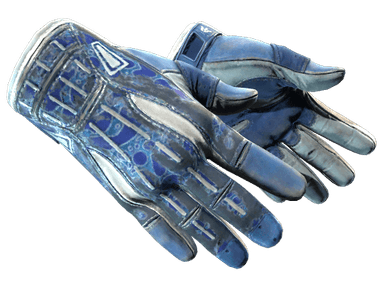 ★ Sport Gloves | Amphibious (Battle-Scarred)