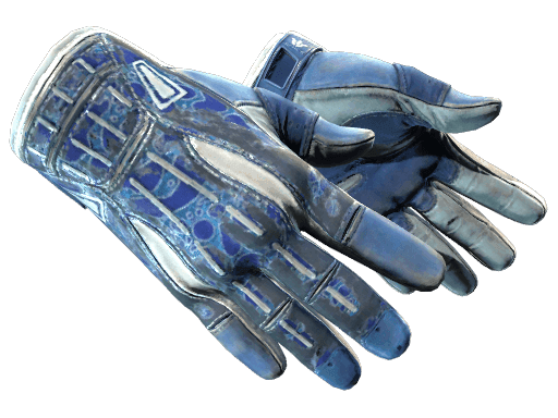★ Sport Gloves | Amphibious (Battle-Scarred)