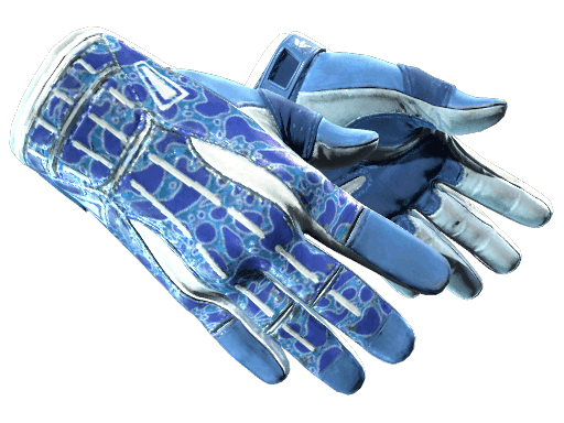 ★ Sport Gloves | Amphibious (Factory New)