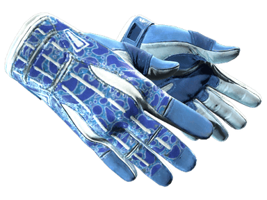 ★ Sport Gloves | Amphibious (Minimal Wear)