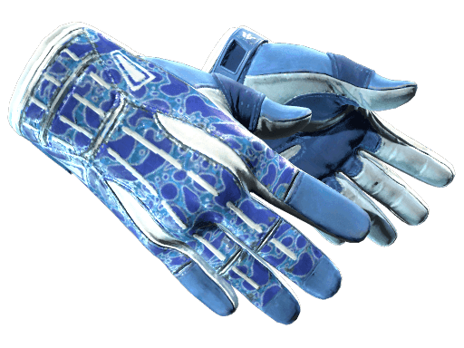 ★ Sport Gloves | Amphibious (Minimal Wear)