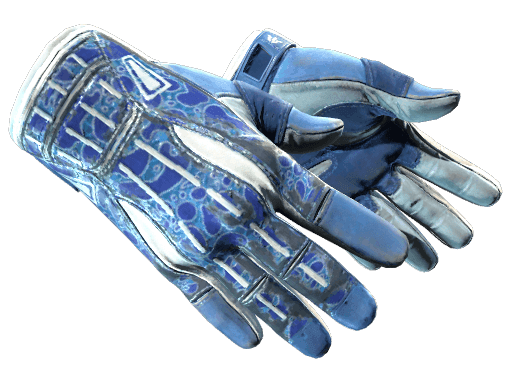 ★ Sport Gloves | Amphibious (Well-Worn)