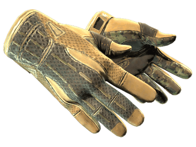 ★ Sport Gloves | Arid (Factory New)