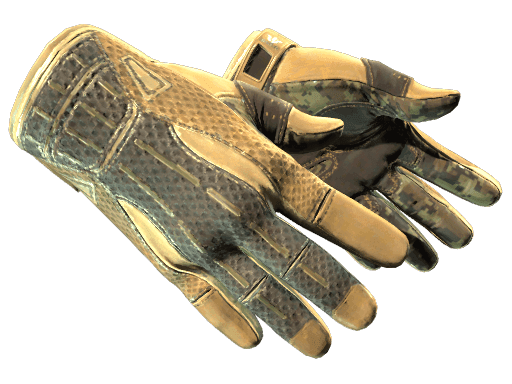 ★ Sport Gloves | Arid (Factory New)