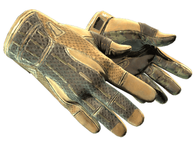 ★ Sport Gloves | Arid (Field-Tested)