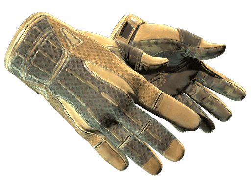 ★ Sport Gloves | Arid (Well-Worn)