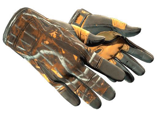 Image of an item