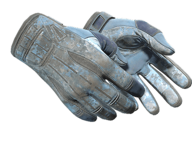 ★ Sport Gloves | Frosty (Battle-Scarred)