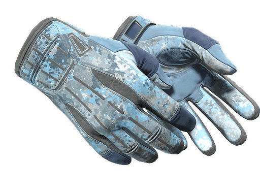 ★ Sport Gloves | Frosty (Factory New)