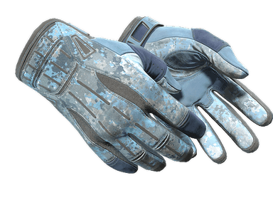 ★ Sport Gloves | Frosty (Field-Tested)