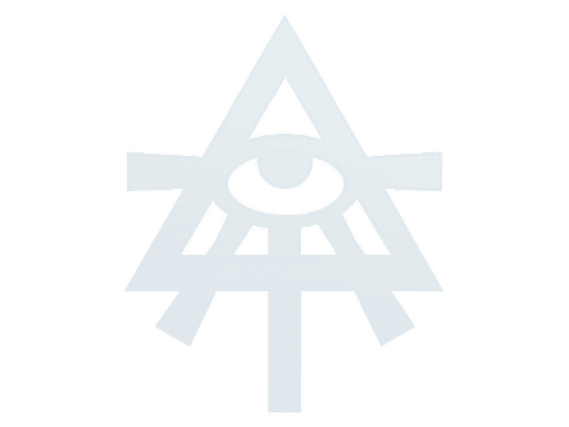 Image of an item