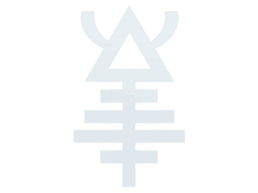 Image of an item