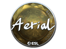 Sticker | Aerial (Foil) | Katowice 2019