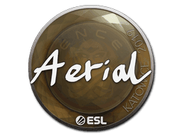 Sticker | Aerial | Katowice 2019