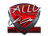 Sticker | allu (Foil) | Krakow 2017