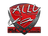 Sticker | allu | Krakow 2017