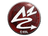 Sticker | ANGE1 | Katowice 2019