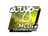 Sticker | arya (Foil) | MLG Columbus 2016