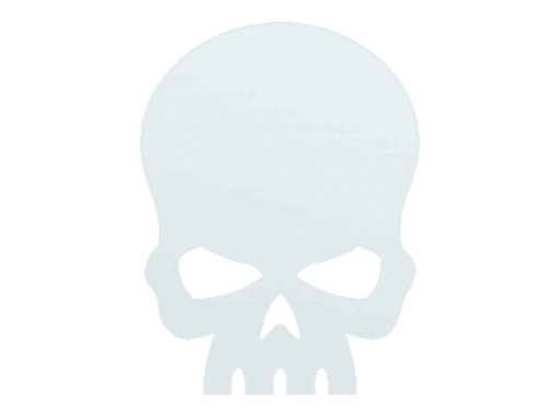Image of an item