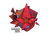 Sticker | Astralis (Holo) | Cologne 2016