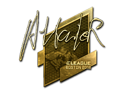 Image of an item