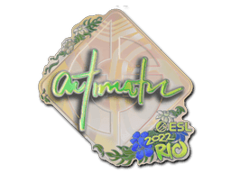 Image of an item