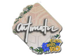 Image of an item