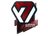 Sticker | Avangar (Foil) | Boston 2018