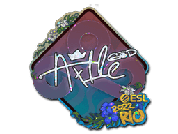 Image of an item