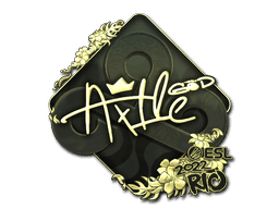 Image of an item