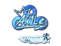 Image of an item