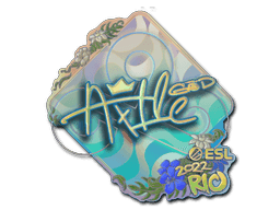 Image of an item