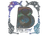 Sticker | B8 (Holo) | Austin 2025