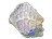 Sticker | BIG (Holo) | Rio 2022