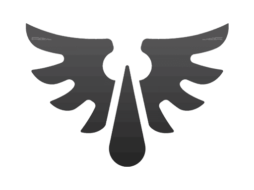 Image of an item