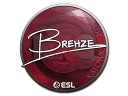 Sticker | Brehze | Katowice 2019