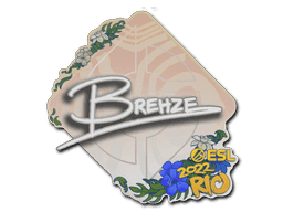 Image of an item