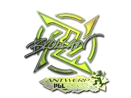 Image of an item