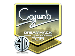Image of an item