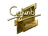 Sticker | cajunb (Gold) | Boston 2018