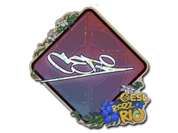 Image of an item