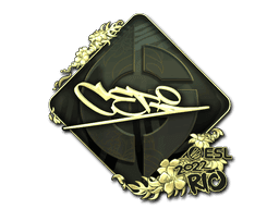 Image of an item