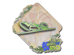 Image of an item