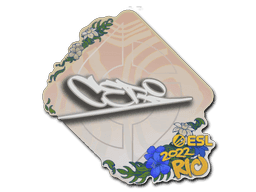 Image of an item