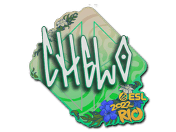 Image of an item