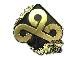 Image of an item
