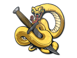 Image of an item