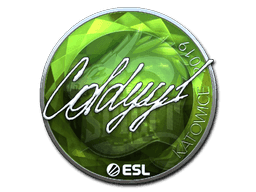 Sticker | COLDYY1 (Foil) | Katowice 2019