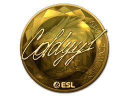 Image of an item