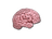 Sticker | CS On The Mind